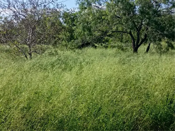364 Deer Meadows Drive, Alice, TX 78332