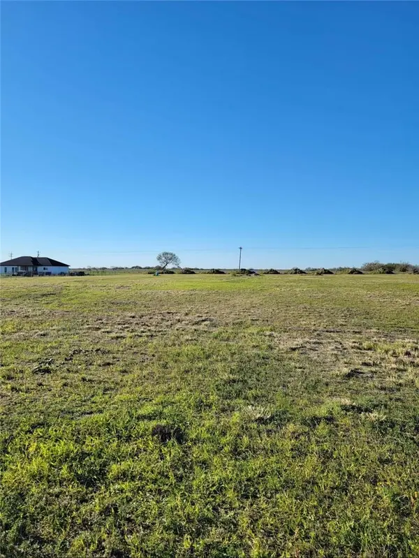 5578 County Road 101, Sandia, TX 78380