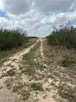 0 Blackbrush Spur Road, George West, TX 78022 - #1