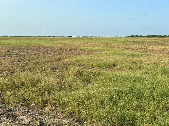 0 E Cr 2300, Riviera, TX 78379 - #2