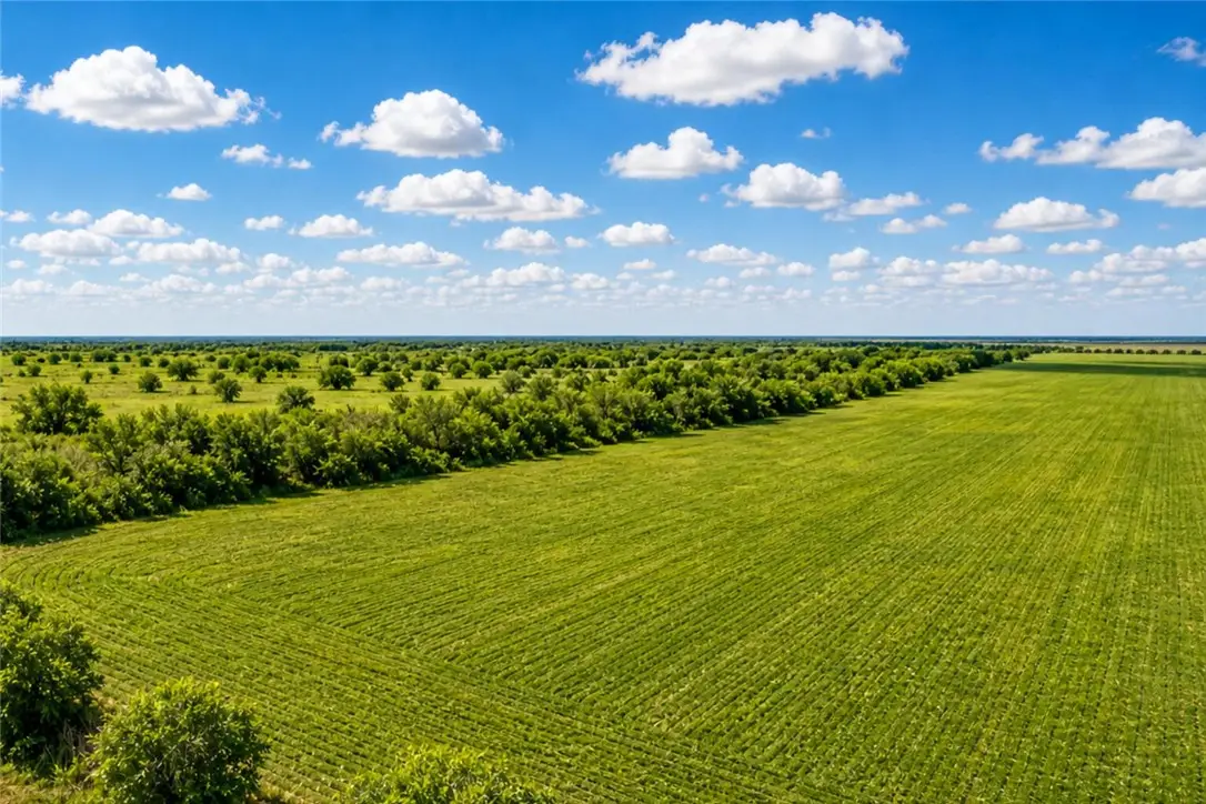 0 County Rd 48, Robstown, TX 78380 - #1