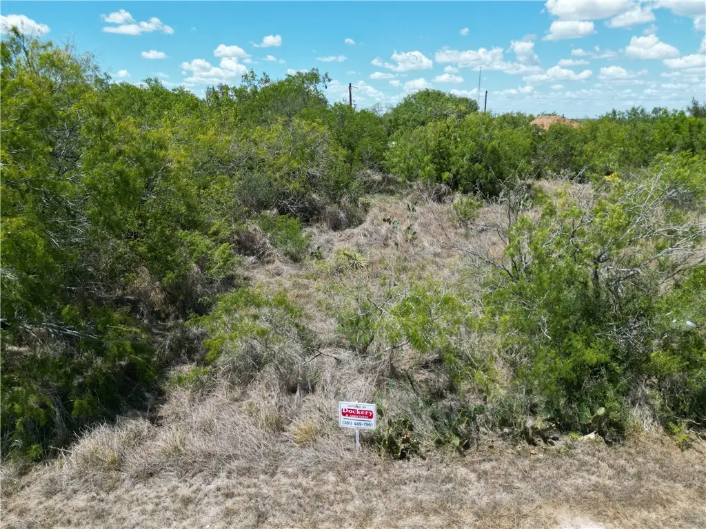 143 Tomahawk Drive, Sandia, TX 78383 - #1