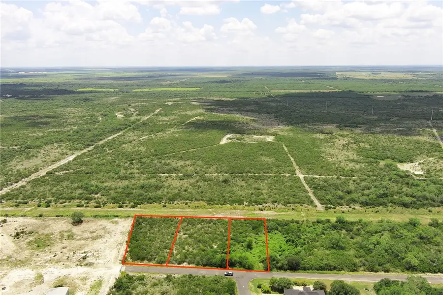 00 Deer Run Trace, Three Rivers, TX 78071 - #2