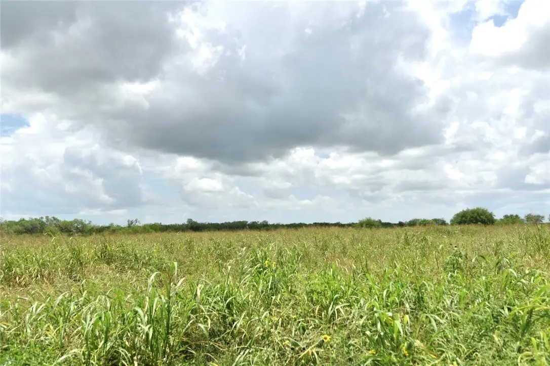 0 County Road 440, Alice, TX 78332 - #1