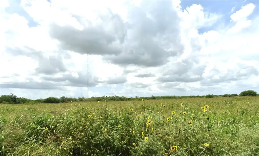 0 County Road 440, Alice, TX 78332 - #2