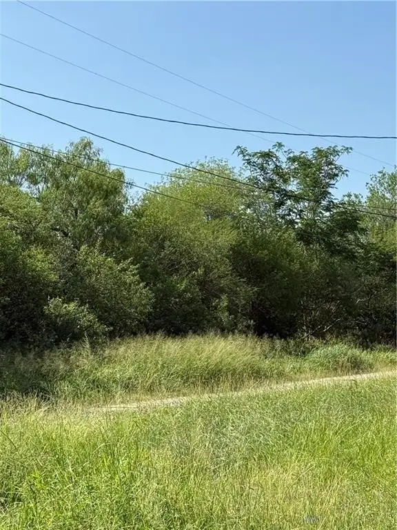 TBA 2 N 2nd Street, Alice, TX 78342 - #1