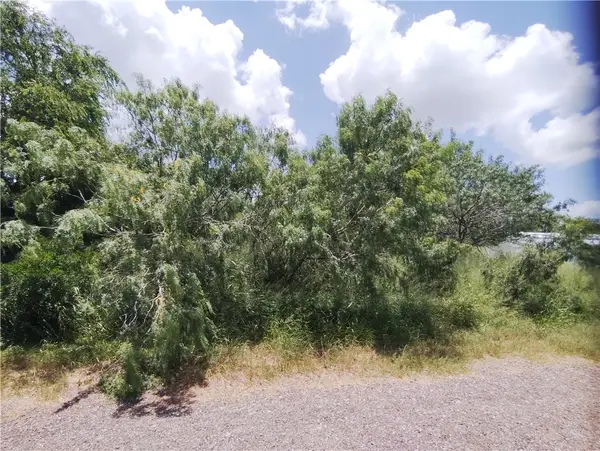 TBD - Lot 3 Thunderbird Trail, Sandia, TX 78383