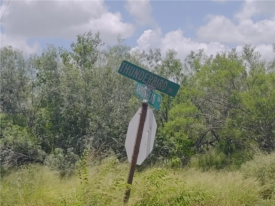 TBD - Lot 3 Thunderbird Trail, Sandia, TX 78383 - #2
