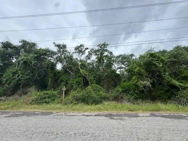 2111 Mooney Lane, Ingleside, TX 78362 - #2
