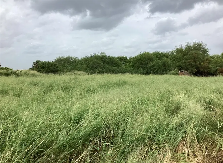 0000 Cty Rd 1140, Riviera, TX 78379 - #2