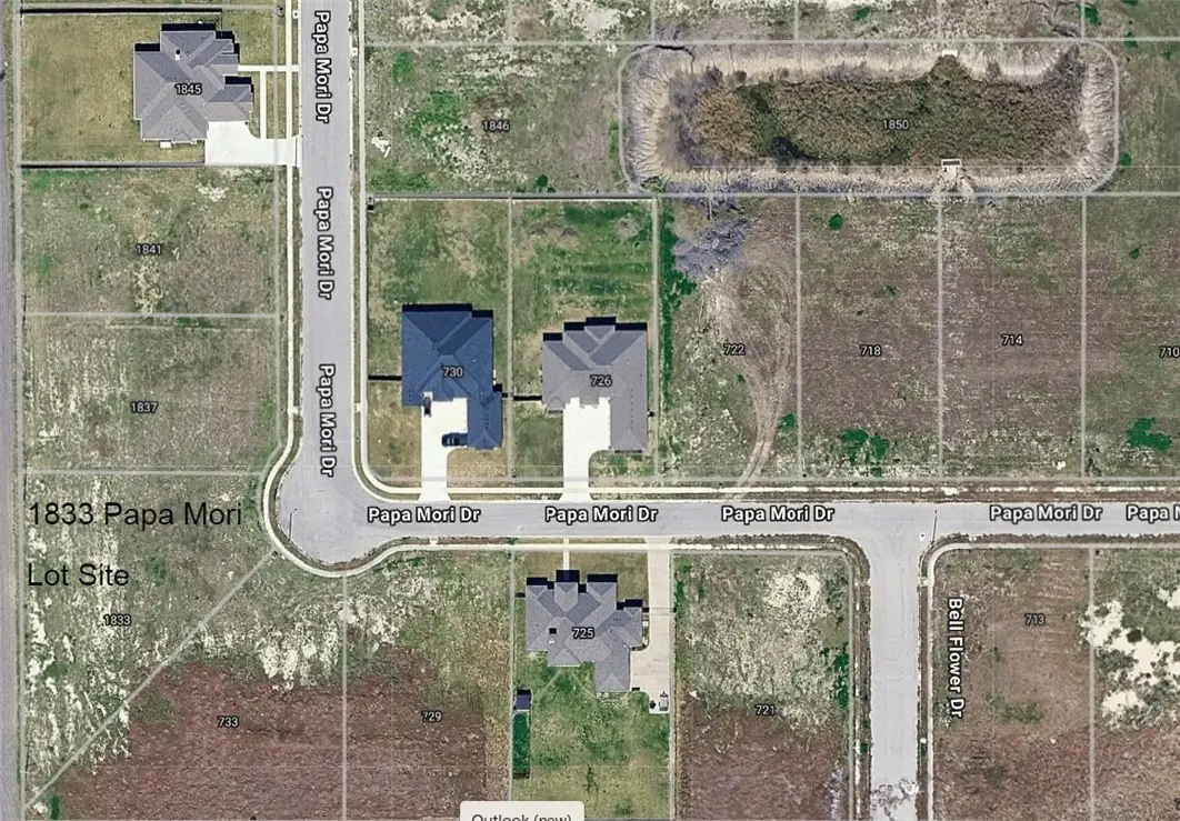 1833 Papa Mori Drive, Corpus Christi, TX 78414 - #1