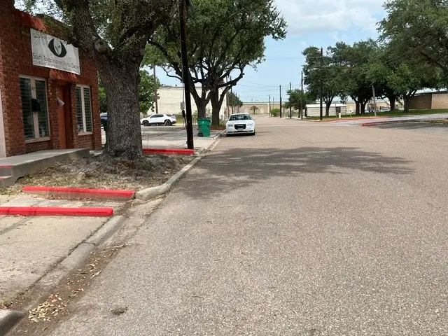 TBD E Miller Street, Falfurrias, TX 78355 - #3