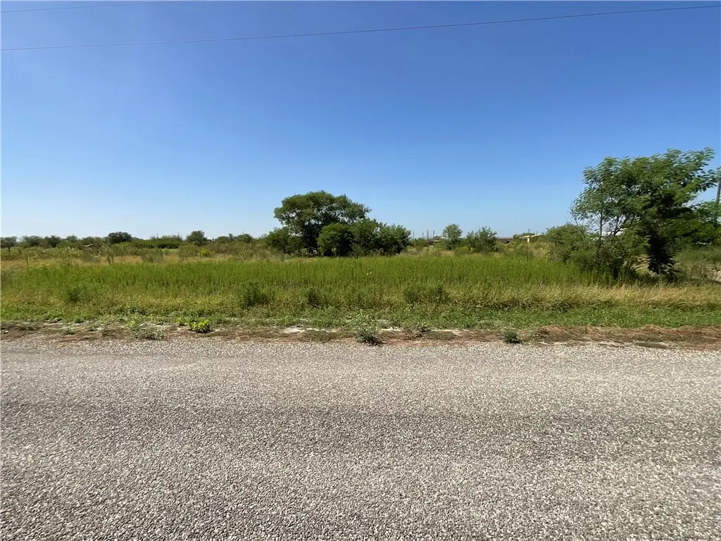 513 Jennifer Loop, Orange Grove, TX 78372 - #1