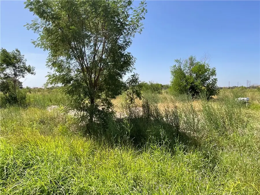 513 Jennifer Loop, Orange Grove, TX 78372 - #2