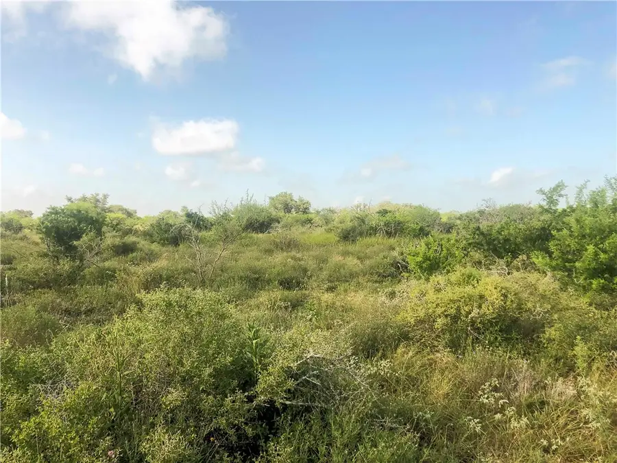 4375 Fm 799, Beeville, TX 78102 - #2