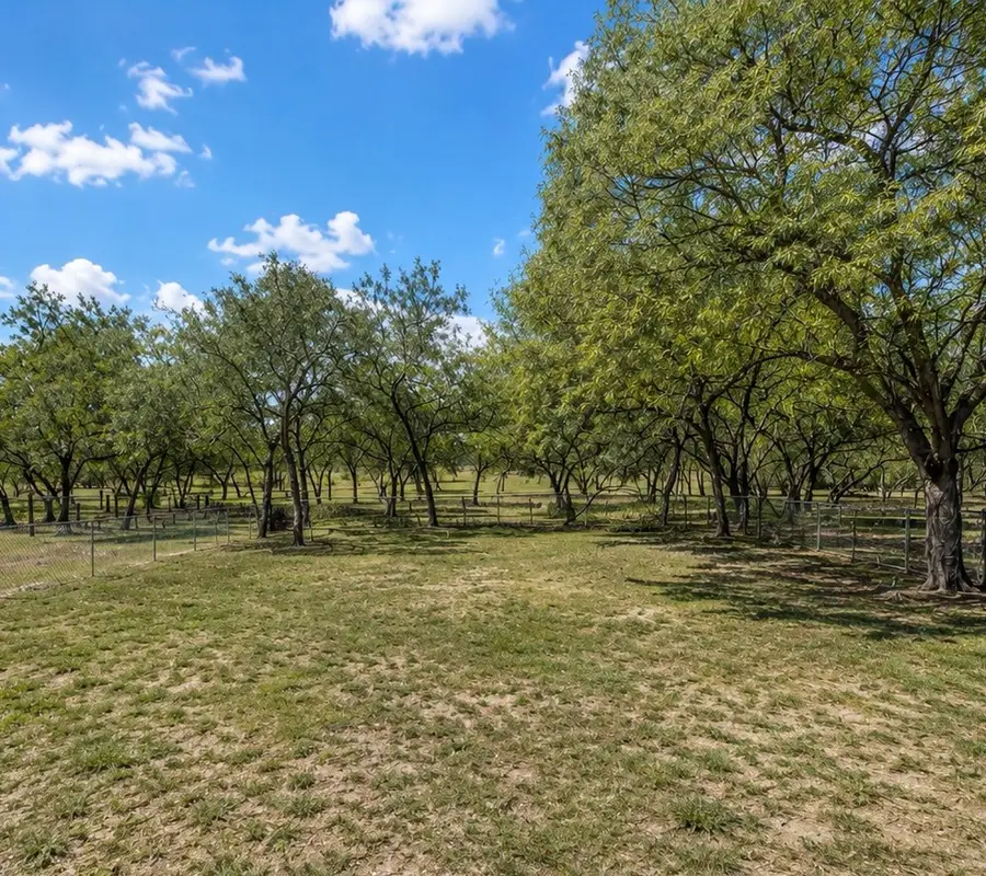 120 Swinney Switch Drive, Dinero, TX 78368 - #2