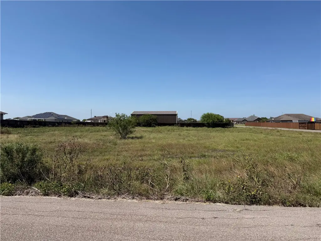 3742 Cabernet Drive, Robstown, TX 78380 - #1