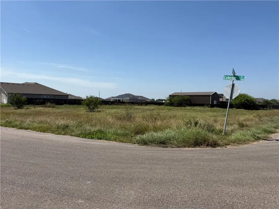 3742 Cabernet Drive, Robstown, TX 78380 - #3