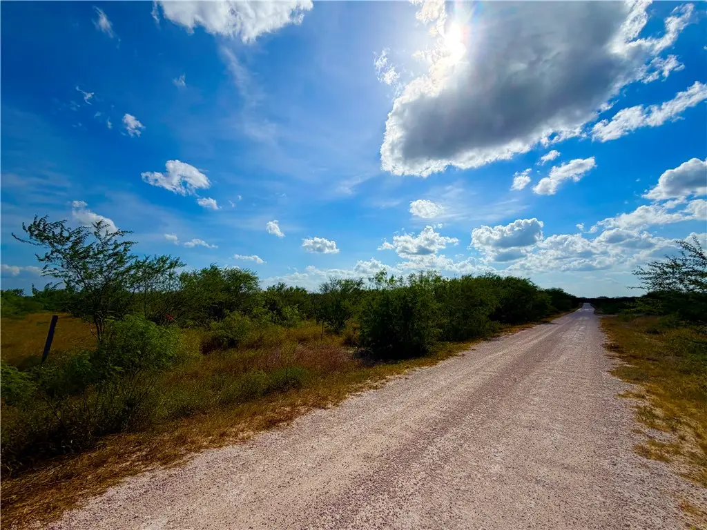 0 Tract 16- San Diego Creek Ranch, San Diego, TX 78384 - #1