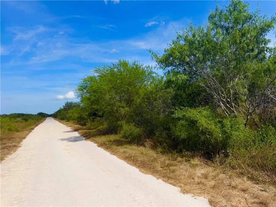 0 Tract 16- San Diego Creek Ranch, San Diego, TX 78384 - #2