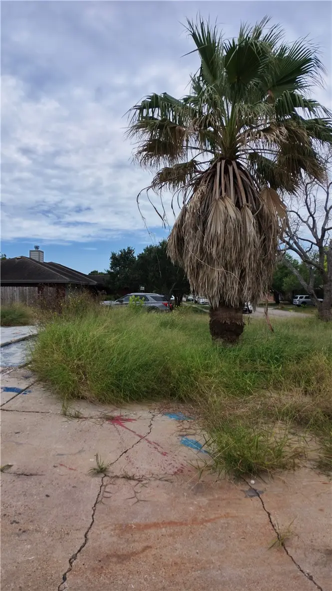 1306 Sandstone Drive, Corpus Christi, TX 78412 - #3