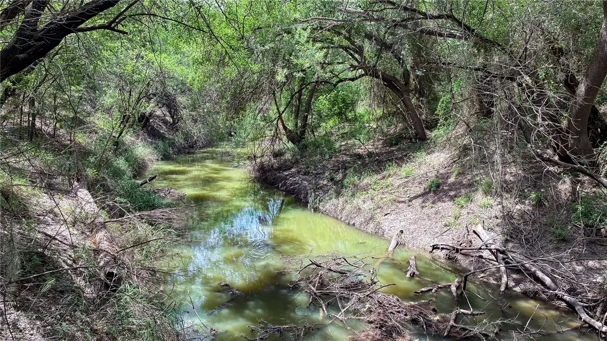 109 Choke Canyon Estates, Three Rivers, TX 78071 - #1