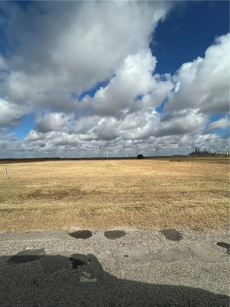 4321 Kestrel Lane, Portland, TX 78374 - #2
