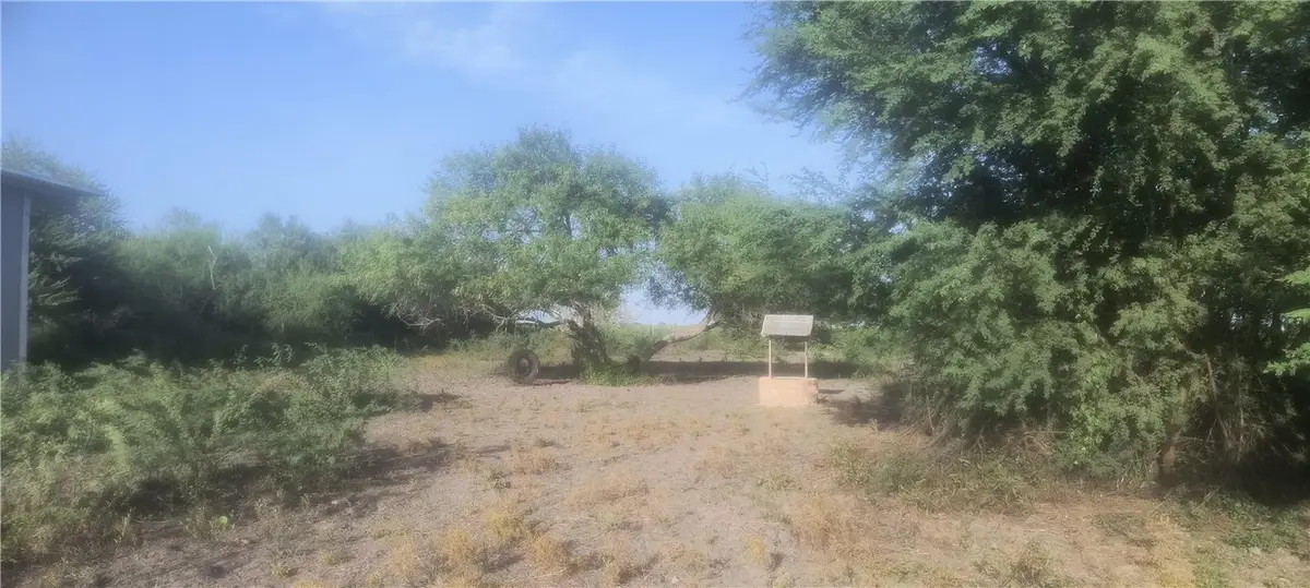 7124 County Road 2379, Sinton, TX 78387 - #1