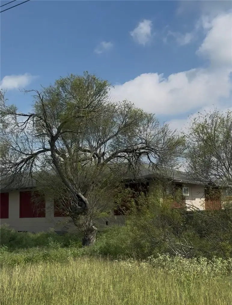 4522 County Road 52, Robstown, TX 78380 - #3