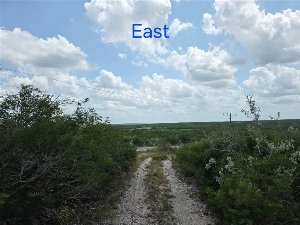234 W County Road 239, Orange Grove, TX 78372 - #1