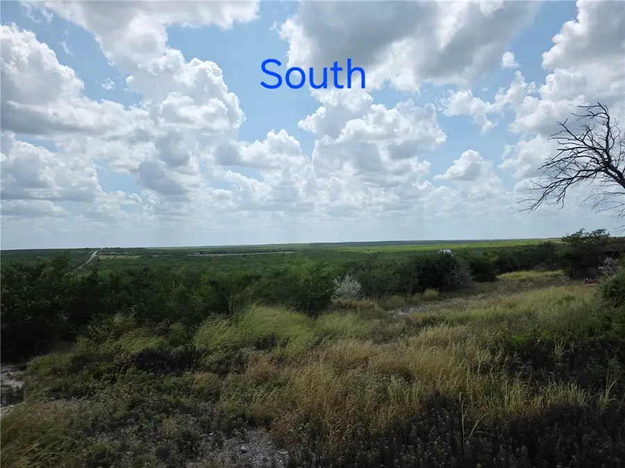 234 W County Road 239, Orange Grove, TX 78372 - #3