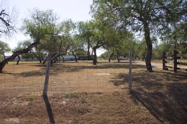 779 S County Road 1145, Riviera, TX 78379 - #1