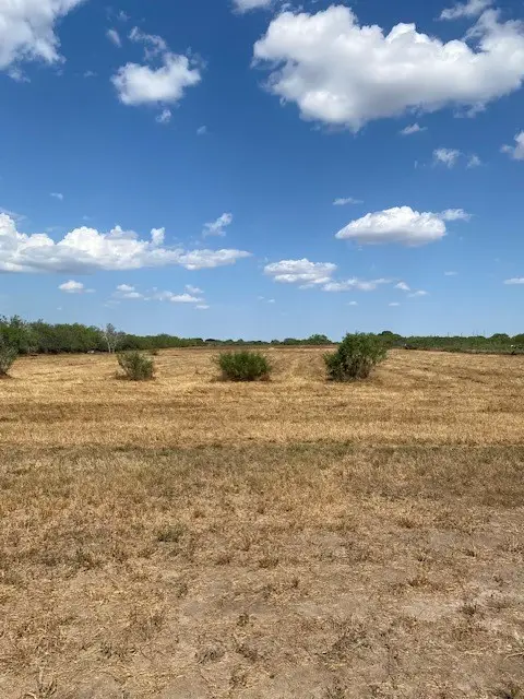 000 Cr 150, Alice, TX 787332 - #2