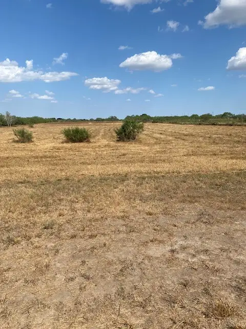 000 Cr 150, Alice, TX 787332 - #3