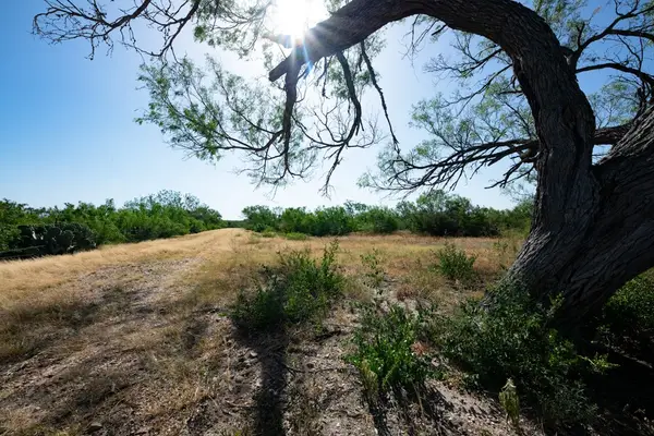242 Cinco Millas Road, Tilden, TX 78072