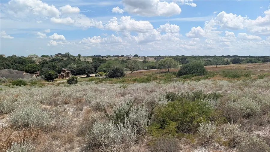 CR 3651 County Road 3651, Sandia, TX 78383 - #2