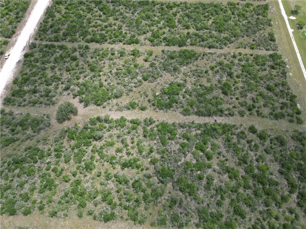 7351 Corrigan Ranch Dr- Tract 33, Skidmore, TX 78389 - #1