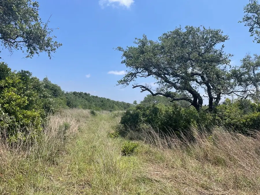 2402 Hwy 361, Ingleside, TX 78362 - #3