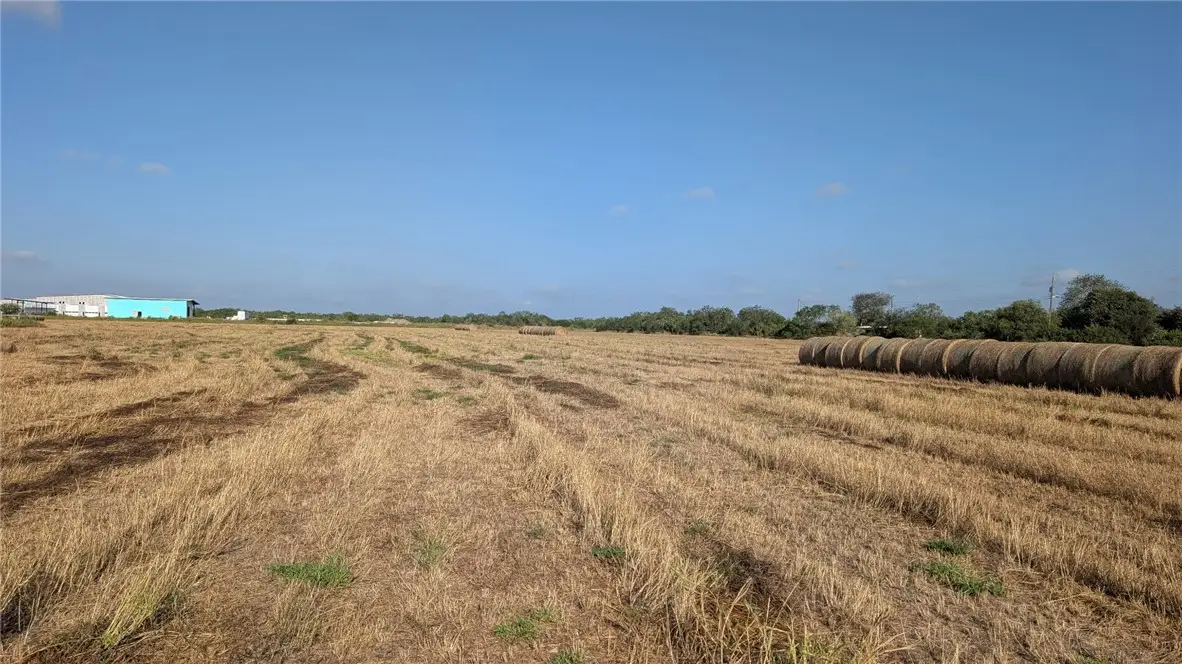 0000 Mcmasers Road, Alice, TX 78332 - #1