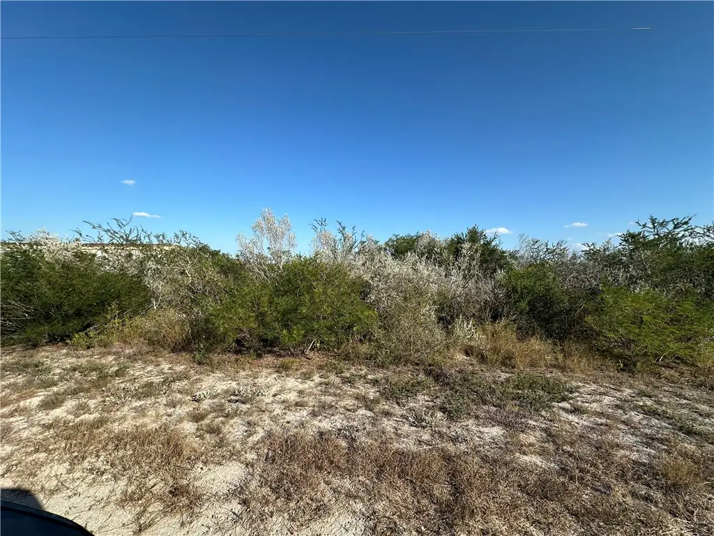 0 Cr 160 Avenue, Orange Grove, TX 78372 - #1