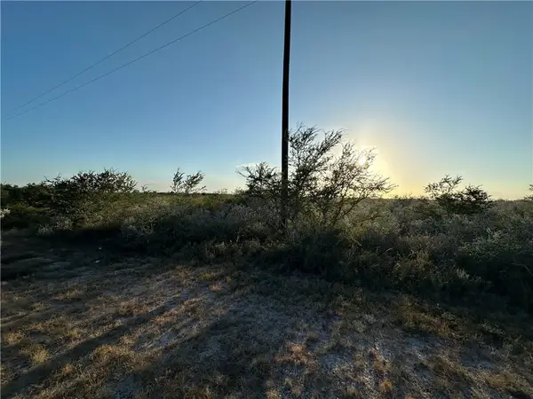 0 Laurel Drive, Sandia, TX 78383