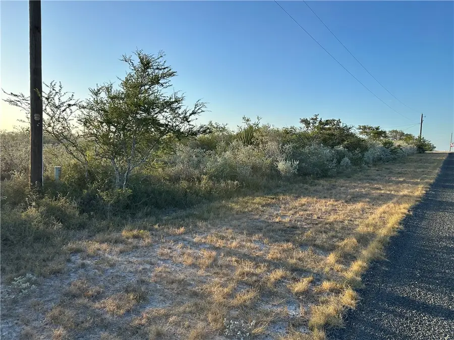 0 Laurel Drive, Sandia, TX 78383 - #2