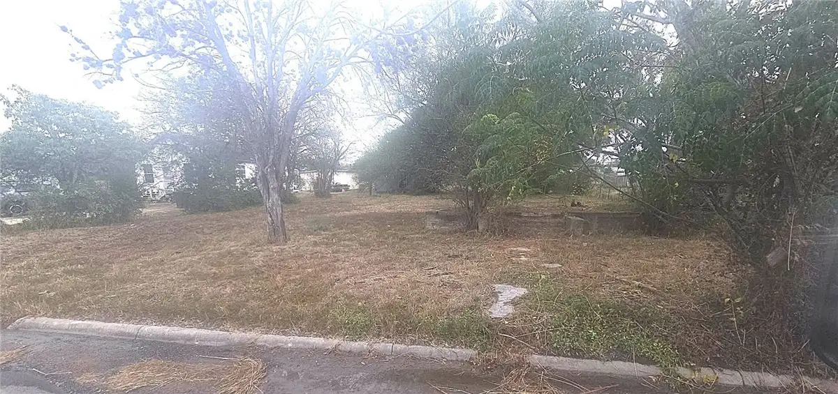 1225 E Henrietta Avenue, Kingsville, TX 78363 - #1