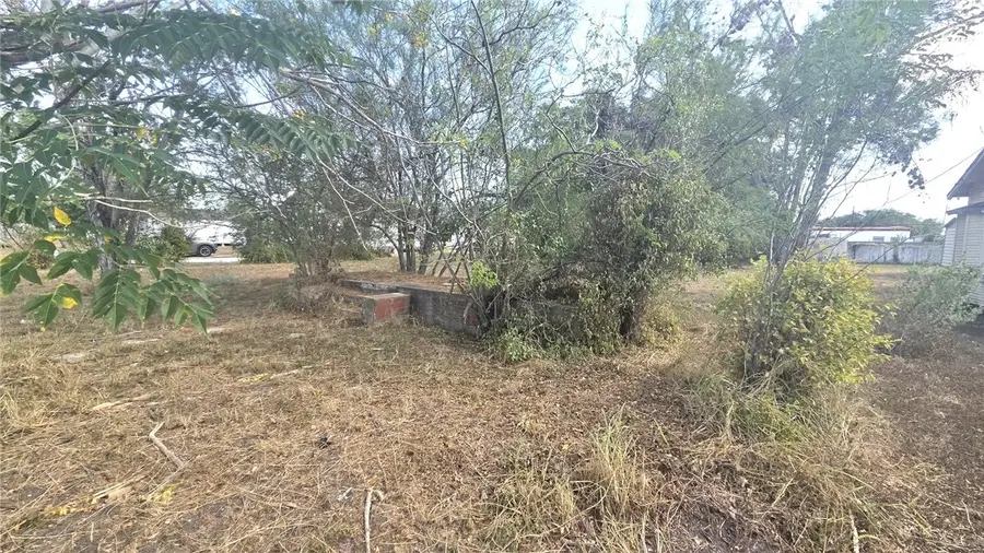1225 E Henrietta Avenue, Kingsville, TX 78363 - #3