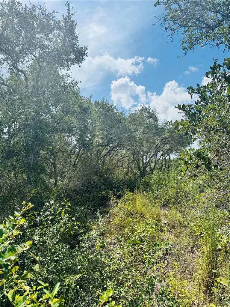 0 Ebert (off Deberry) Avenue, Aransas Pass, TX 78336 - #2