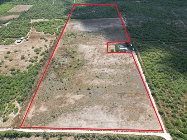 3252 County Road 341, Freer, TX 78357