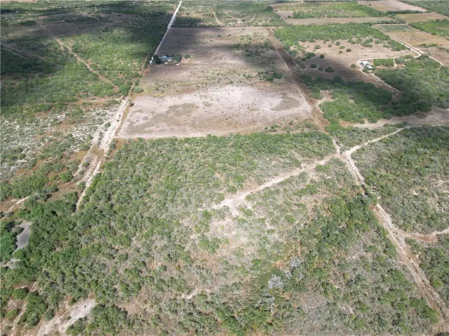 3252 County Road 341, Freer, TX 78357 - #3