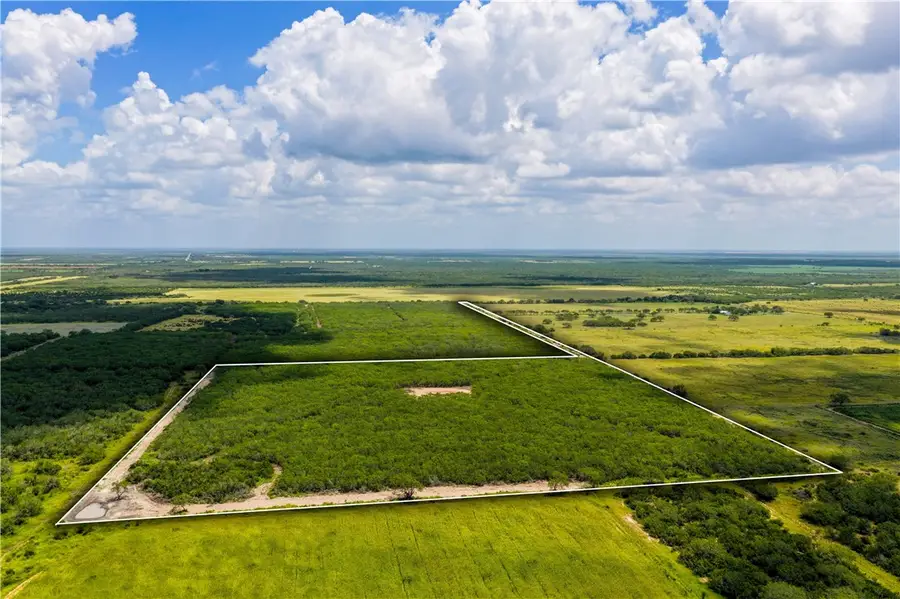 485 County Road 229, Realitos Concepcion, TX 78375 - #2