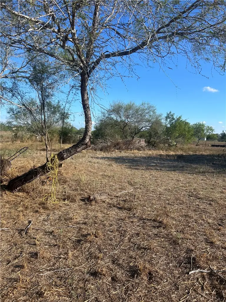 Address Withheld By Seller, Kingsville, TX 78363 - #2