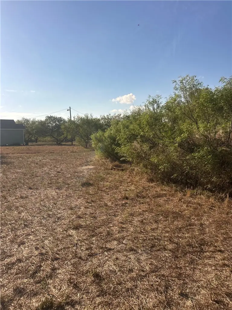 Address Withheld By Seller, Kingsville, TX 78363 - #3